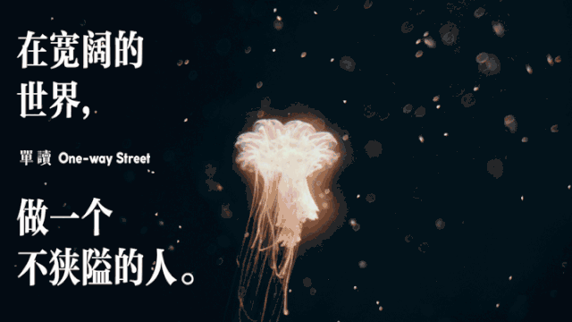 在血与火的重重洗礼后，萨拉热窝纯洁如常丨单读图片