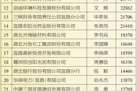 百强公布！伍家岗这些企业上榜图片