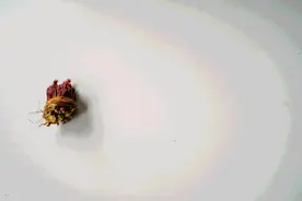 炒前必须焯水的3种蔬菜，再懒也别省这一步！这些误区千万不要犯图片