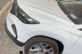北京“泥雨”之后车辆成了“斑点车”未来三天持续放晴 洗车可放心安排图片