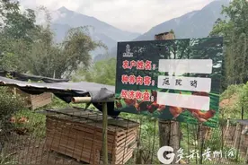 “抱西瓜”也要“捡芝麻”图片