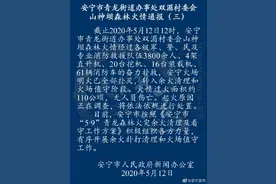 云南安宁火场明火已全部扑灭 起火原因正在调查图片