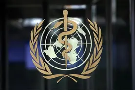 世卫组织：保持警惕，解封需缓慢分步进行丨今日热词打卡图片
