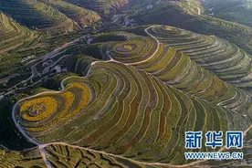 山川调色民变富——绿水青山就是金山银山的彭阳实践图片