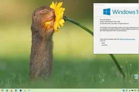 微软将Windows 10 2020年5月更新正式版发布到MSDN图片