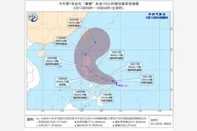 “黄蜂”来了图片