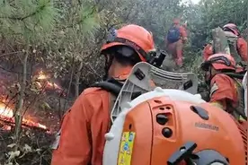 云南安宁森林大火禄丰火场二次突破隔离带，扑火队伍彻夜扑救图片