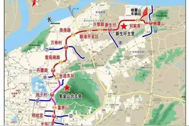 206株行道树已安排！南京地铁6号线主城区站点绿化迁移更新工作正式启动图片