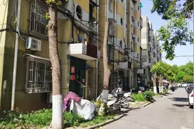 绿荫大树纷纷被“剃头”，还花了不少钱图片