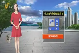 大风又来！山东再发内陆大风蓝色预警，鲁中鲁南半岛地区有小雨视频封面