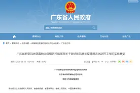 广东影剧院等娱乐场所可有条件开放！龙舟等体育赛事活动有望“解封”图片