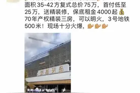 番禺地铁公寓盘引中介狂抢客！70年“产权”仅卖81万？图片
