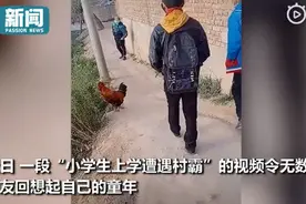 男孩上学遭遇公鸡拦路，下一秒被追得狼狈逃窜，网友：这是童年啊图片