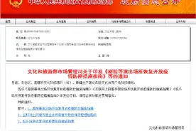 文旅部：剧院、网吧、KTV等娱乐场所可恢复开放，但有这些要求图片
