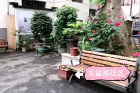 老家有新貌图片