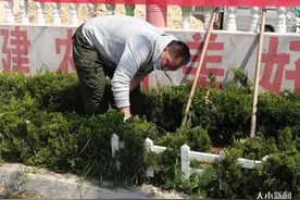 文明树新风，洁净助振兴！乡村振兴莱州朱桥服务队开展“文明村庄 我先行”活动图片
