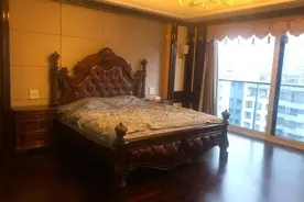 ​竞拍119次，杭州武林壹号豪宅2960万成交，就是去年强制执行被直播的那一套图片
