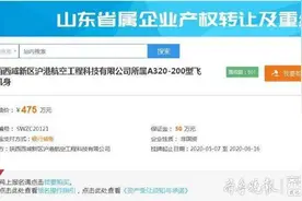 退役飞机A320在山东挂牌转让，底价475万，超600人围观图片