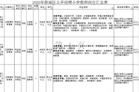 定了！枣庄市薛城区招聘19名小学教师图片