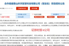四川眉山拟预建6.4万套智慧路灯，华体科技联手国资已成立运营公司图片
