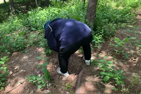 野外捕蜗牛吃，还是悠着点吧图片