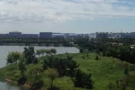 山东药品食品职业学院2020单独招生和综合评价招生章程出炉图片