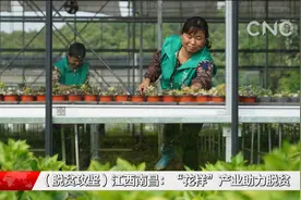 江西南昌：“花样”产业助力脱贫视频封面