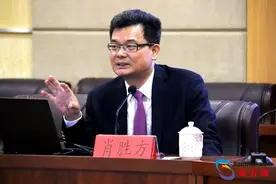 全国人大代表肖胜方：抓紧制定国家战略物资储备法图片