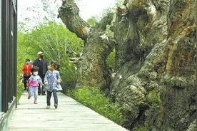 三大融合推动乌鲁木齐旅游热起来图片