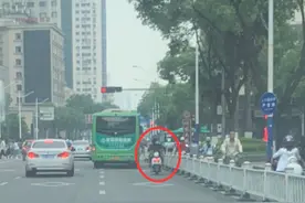 温州电动自行车超305万辆！“骑行大军”上路这些事项要注意图片