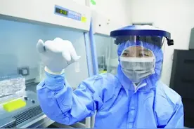 人之初 分南北图片