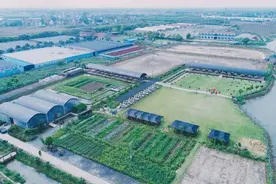 金山这里竟藏着一个田园生态农庄，快来打卡吧图片