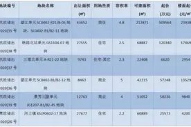 又上新了！望江新城挂牌1宗未来社区商住地块 接下来还有1宗涉宅地图片
