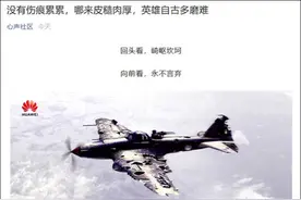 华春莹和赵立坚都转发了华为这张图：那些杀不死你的，终将使你更强大图片