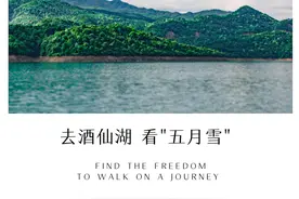 中国旅游日去酒仙湖看十万株油桐树花开图片