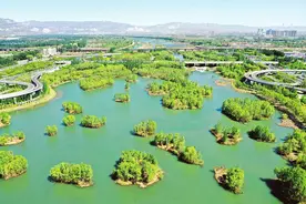 抓好“两山七河一流域”生态修复治理 坚决打赢污染防治攻坚战图片