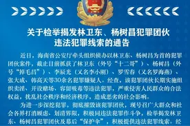 关于检举揭发林卫东、杨树昌犯罪团伙违法犯罪线索的通告图片