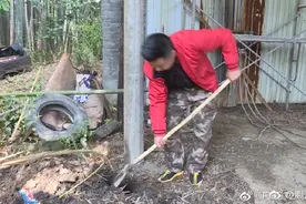 惊！村民意外发现6000发抗战时期子弹图片