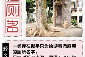 旅游内急遇到这些迷惑厕所，我还是尿裤子好了图片