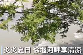 30秒 | 炎炎夏日 徐堰河边享清凉视频封面
