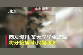 网传山东一大学生用牙签插小猫四肢，烟台南山学院已同意该学生引咎退学图片