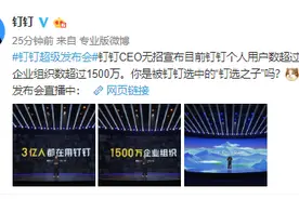 钉钉宣布用户数突破3亿！新版本命名新奇，此前成为联合国首推的在家上课平台图片