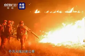致敬！五位山东籍扑火烈士当选感动中国2019年度人物图片
