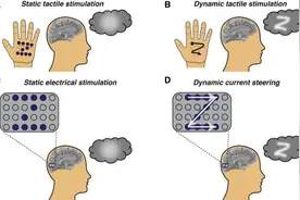 科学家研发盲人视物技术：能够每分钟识别86种形状图片