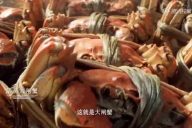 螃蟹知多少图片