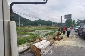 秀山县城至龙池公路改建工程启动图片