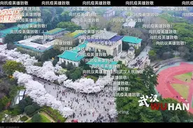 斗鱼线上公益演唱会落幕超450万人为“明天加油”图片