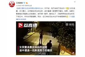 醉汉骚扰女性发现是女警后秒怂：对不起，我不该做下流动作图片