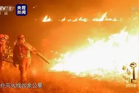 致敬！五位山东籍扑火烈士当选感动中国2019年度人物图片