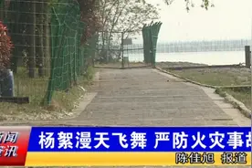 江苏洪泽：初夏杨絮漫天飞舞 街道严防火灾事故视频封面